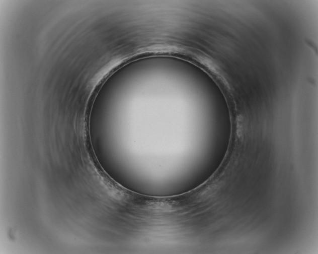 X0000102871229200808251233