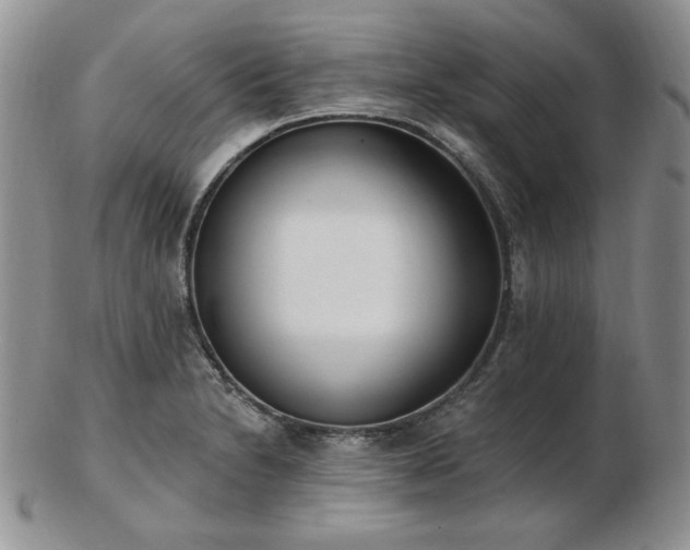 X0000102871230200808251233