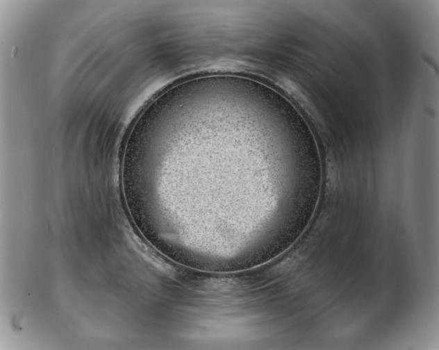 X0000102871232200808251234