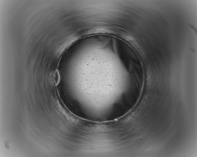 X0000102871233200808251234