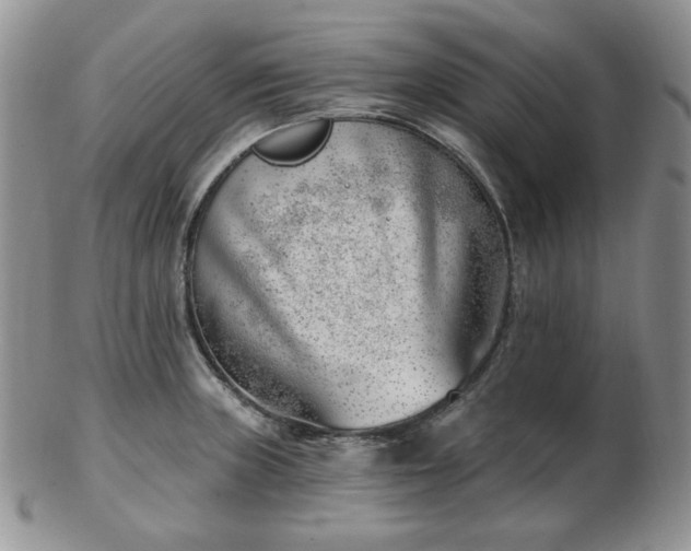 X0000102871235200808251234