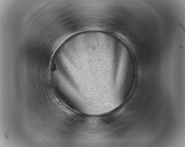 X0000102871236200808251234