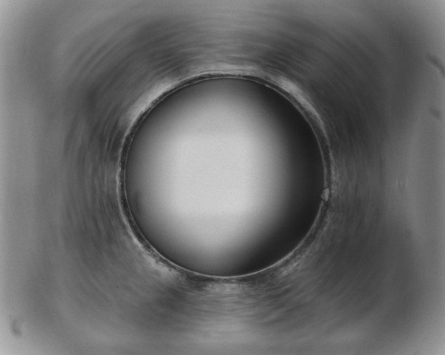 X0000102871237200808251234