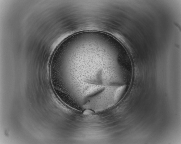 X0000102871238200808251234