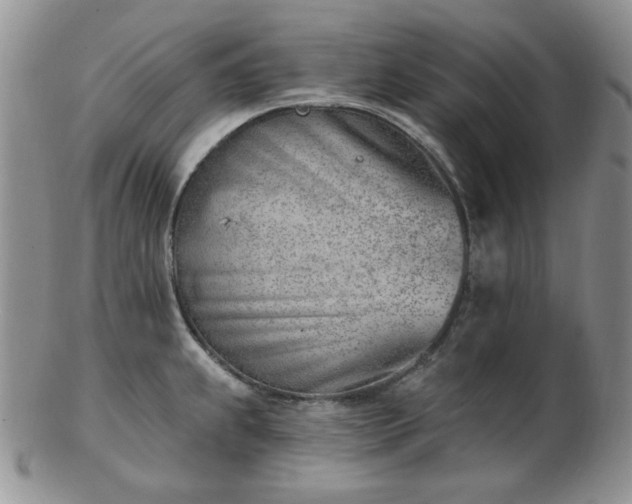 X0000102871239200808251234