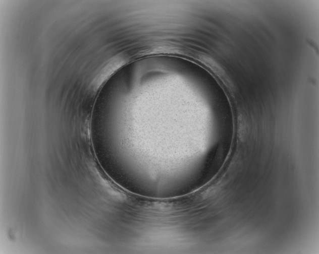 X0000102871241200808251234