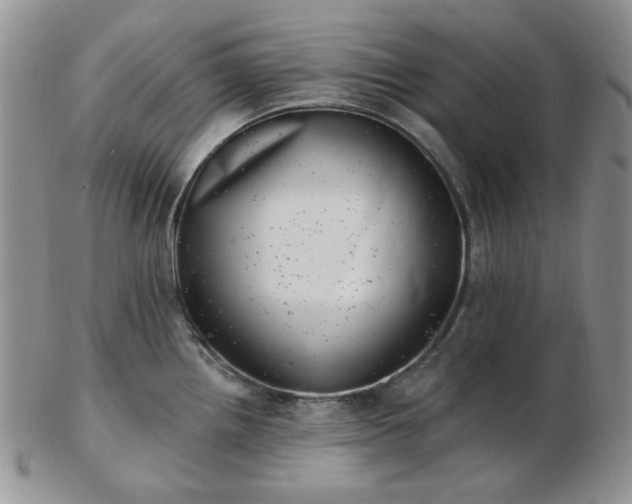 X0000102871242200808251234