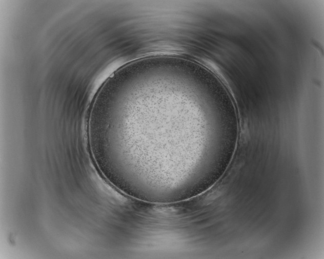 X0000102871243200808251234