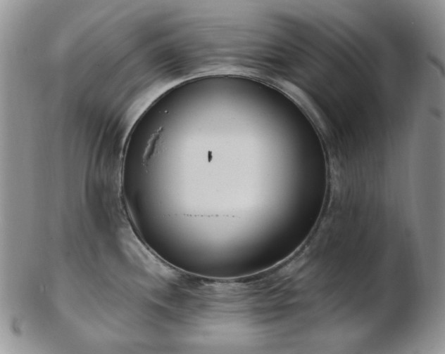 X0000102871244200808251234