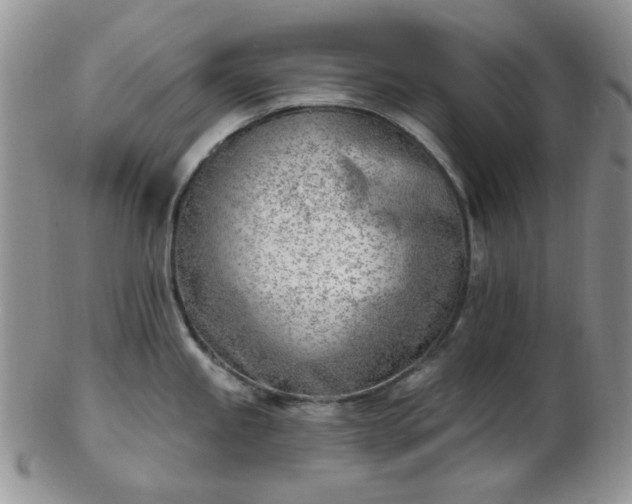 X0000102871245200808251234