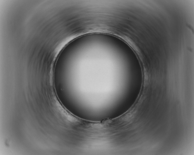 X0000102871246200808251234