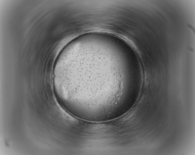 X0000102871247200808251234