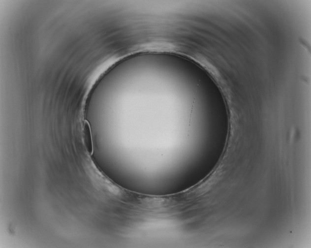 X0000102871248200808251234