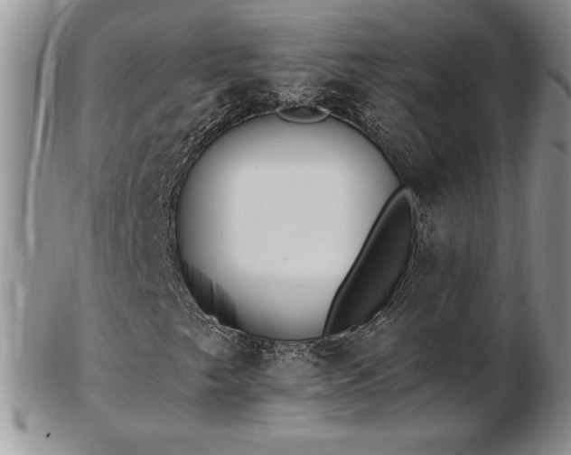 X0000102871249200808251233