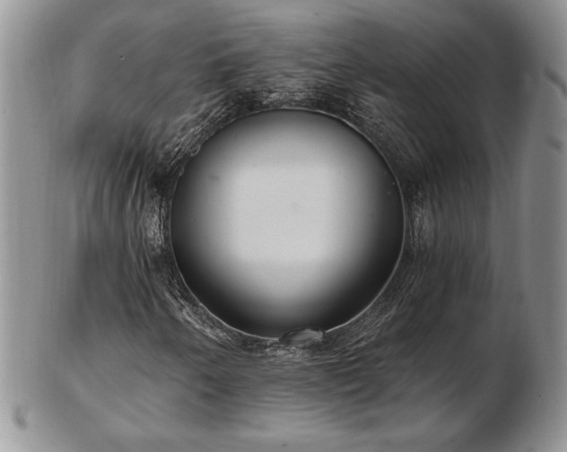 X0000102871250200808251233