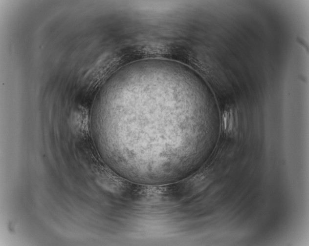 X0000102871251200808251233