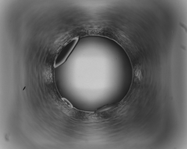 X0000102871252200808251233