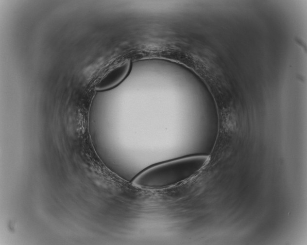 X0000102871253200808251233
