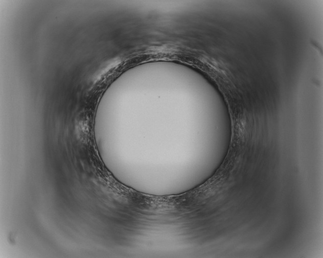 X0000102871254200808251233