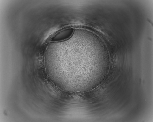 X0000102871255200808251233