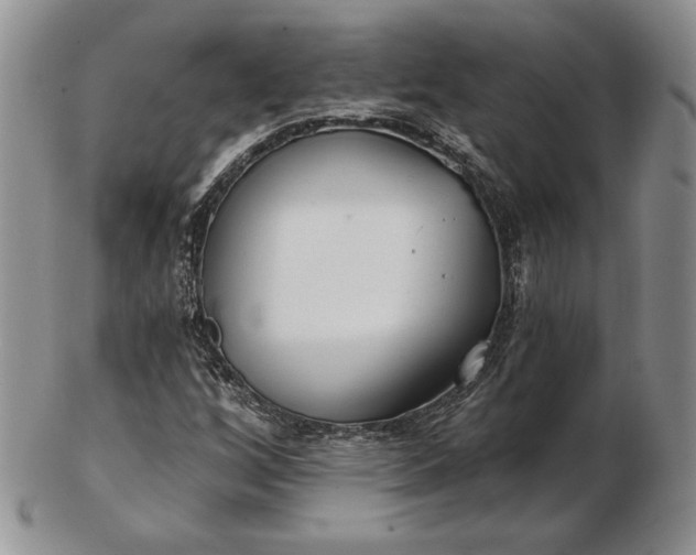 X0000102871256200808251233