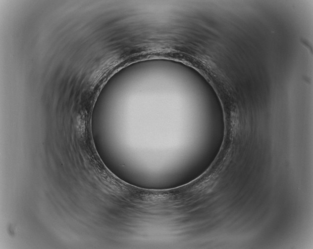 X0000102871257200808251233