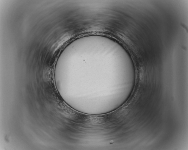 X0000102871258200808251233