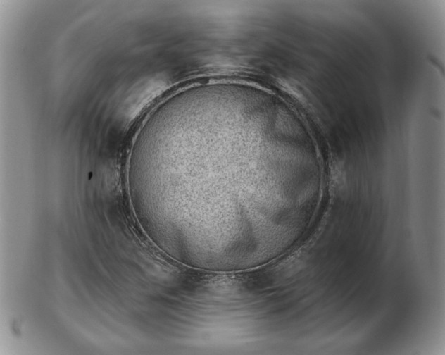 X0000102871259200808251233