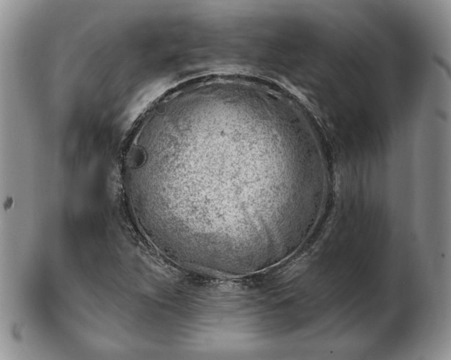 X0000102871263200808251233