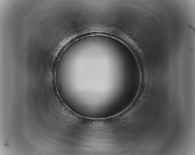 X0000102871264200808251233