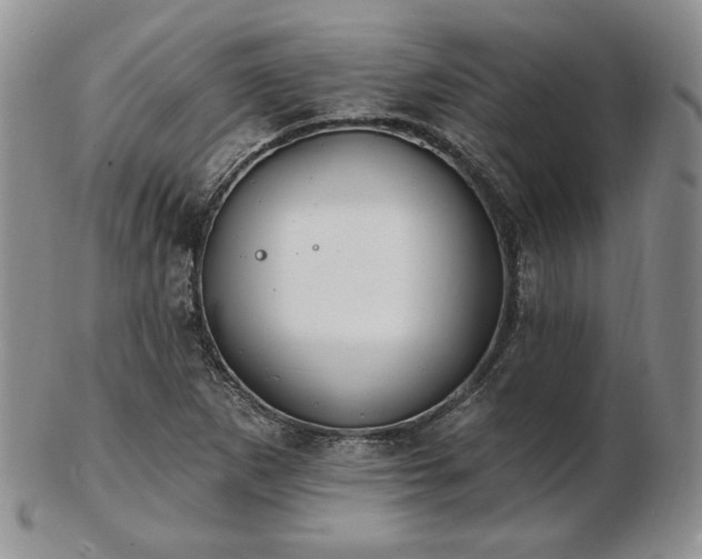 X0000102871265200808251233