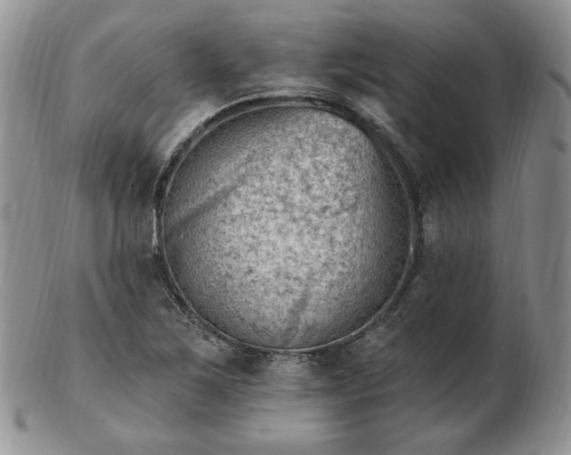 X0000102871267200808251233