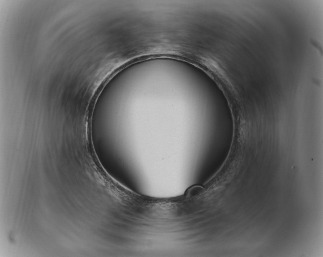 X0000102871268200808251233
