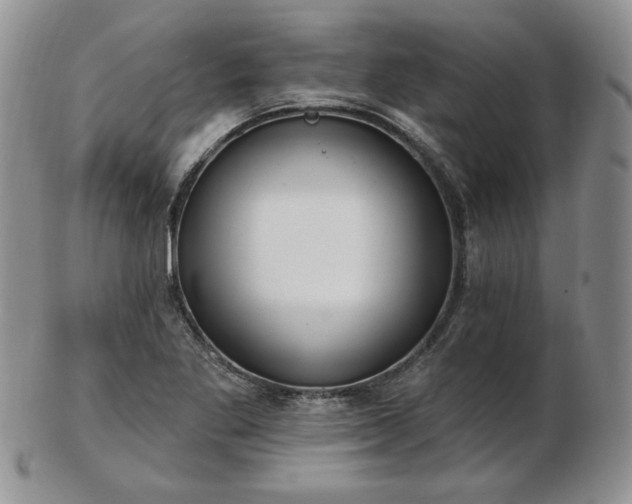 X0000102871269200808251233