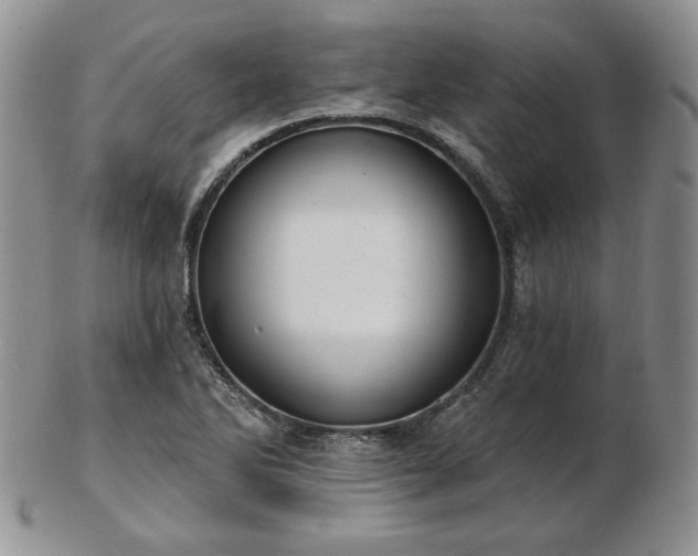 X0000102871270200808251233