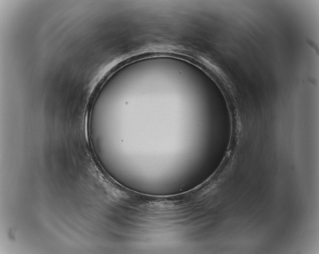 X0000102871272200808251233