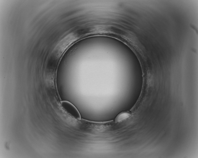 X0000102871273200808251233