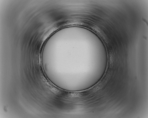 X0000102871274200808251233