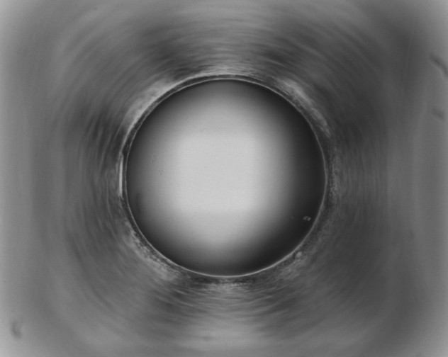 X0000102871276200808251233