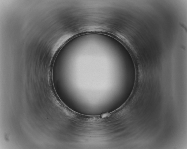 X0000102871277200808251233