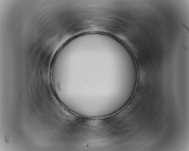 X0000102871278200808251233