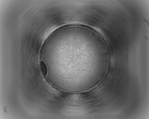X0000102871279200808251233