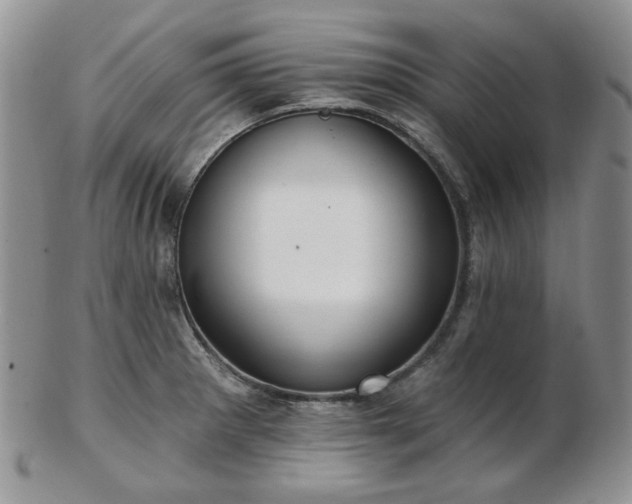 X0000102871281200808251233