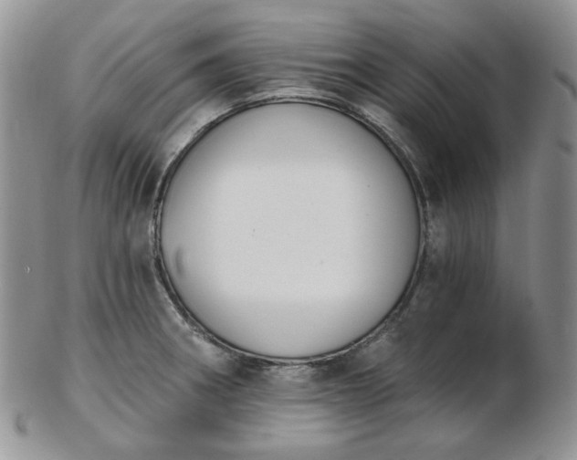 X0000102871282200808251233