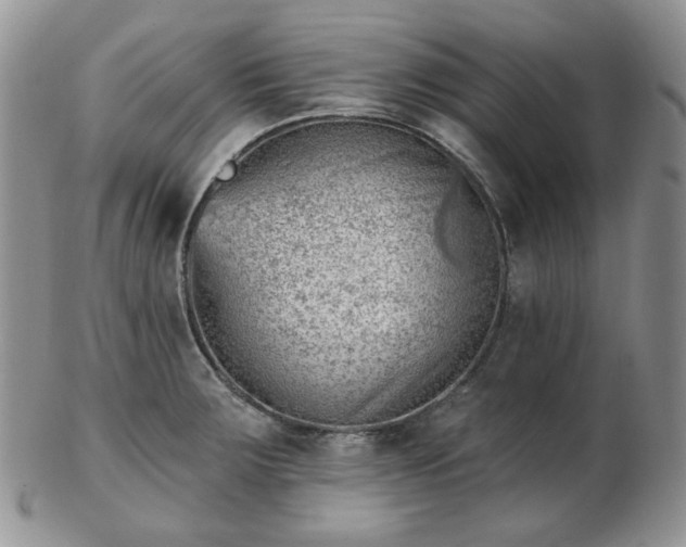 X0000102871283200808251233