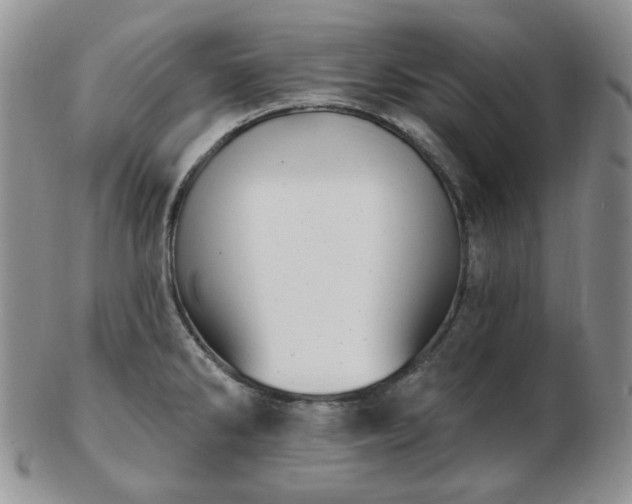 X0000102871286200808251232
