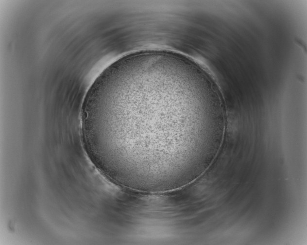 X0000102871287200808251232