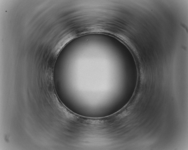 X0000102871289200808251232