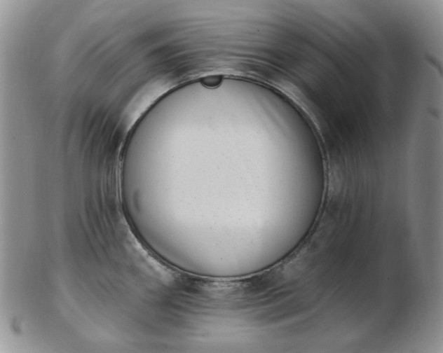 X0000102871290200808251232