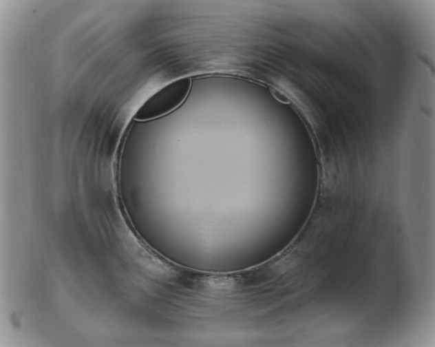X0000102871291200808251232